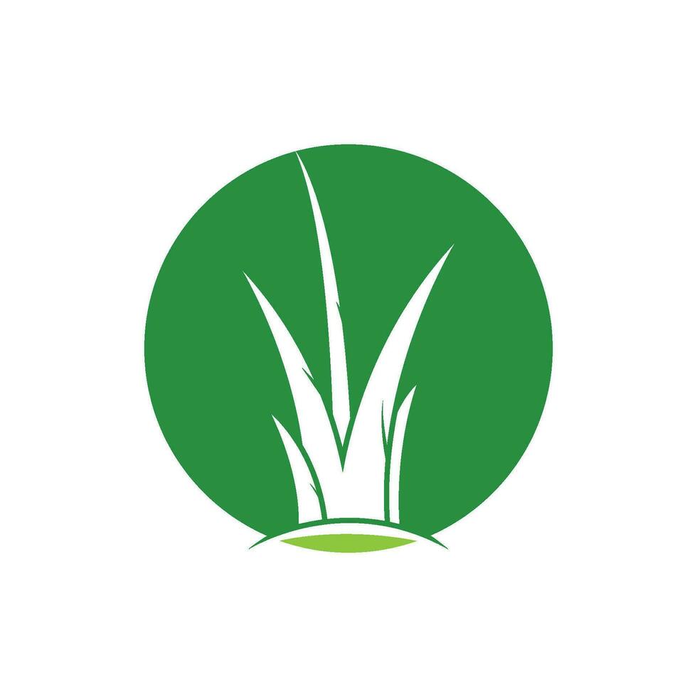 modèle de vecteur de logo d'herbe