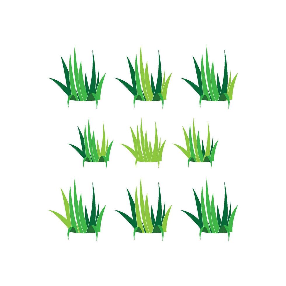 modèle de vecteur de logo d'herbe