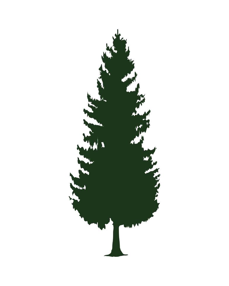 icône de silhouette d'arbre de pin à feuilles vertes vecteur