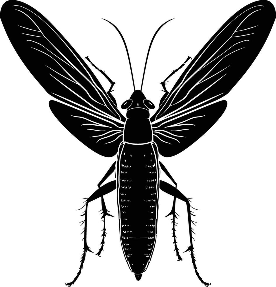 ai généré silhouette insecte ou punaise plein corps noir Couleur seulement vecteur