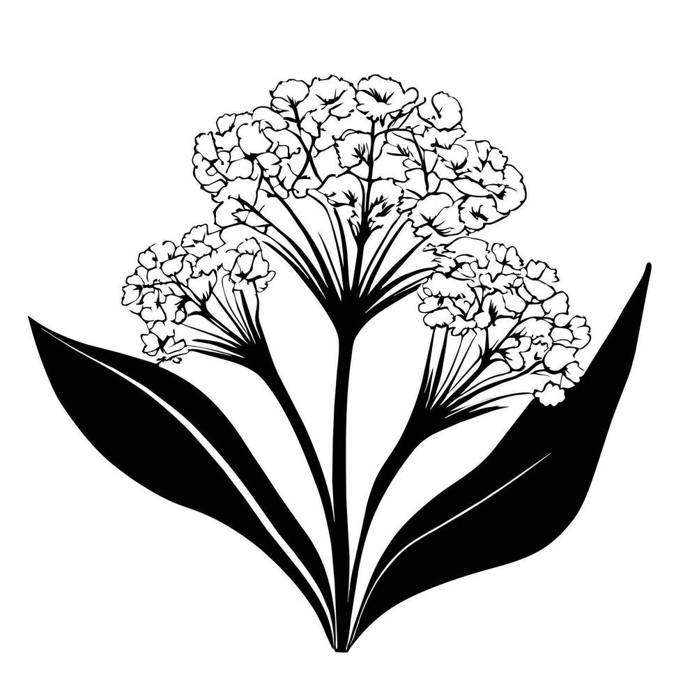 magnifique noir et blanc vecteur botanique illustration avec décoratif feuilles.