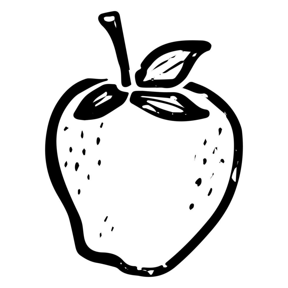 une noir et blanc dessin de un Pomme vecteur