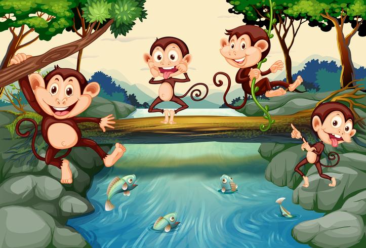 Quatre singes au bord de la rivière vecteur