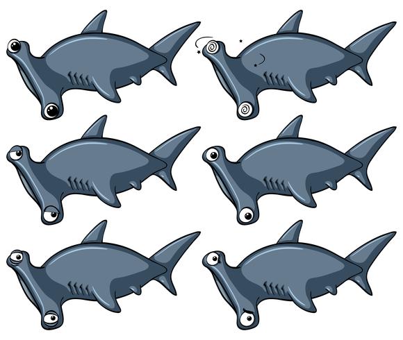 Requin-marteau avec différentes émotions vecteur