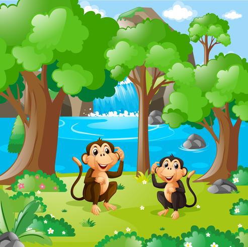 Deux singes dans la forêt vecteur