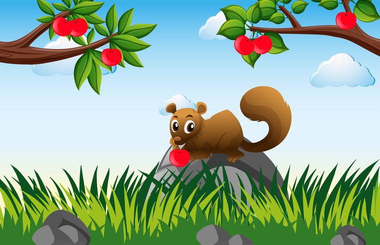 Écureuil brun dans un verger de pommiers vecteur