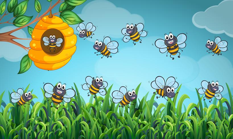 Abeilles volant autour de la ruche vecteur
