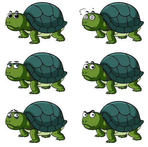 Tortue avec différentes expressions faciales vecteur