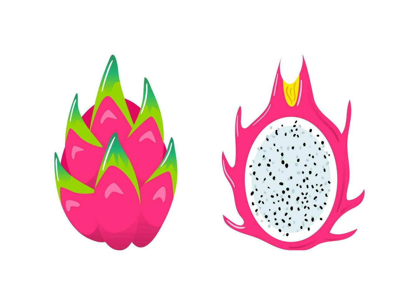 pitaya. dragon fruit. en bonne santé nourriture, végétaliens. végétalien. cactus. vecteur illustration dans plat style. pour menu, café, autocollants affiches conception