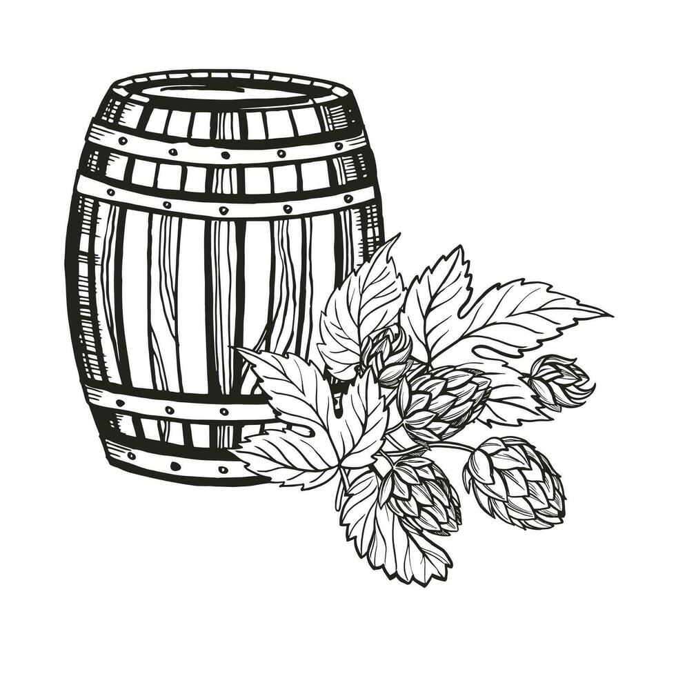 main tiré vecteur esquisser de en bois baril et saut plante avec feuilles et bourgeons, Bière ingrédients, noir et blanc illustration de texturé bois chêne tonnelet, encré illustration isolé sur blanc Contexte