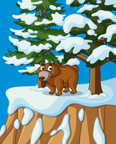 Grizzly Bear sur la montagne de neige vecteur