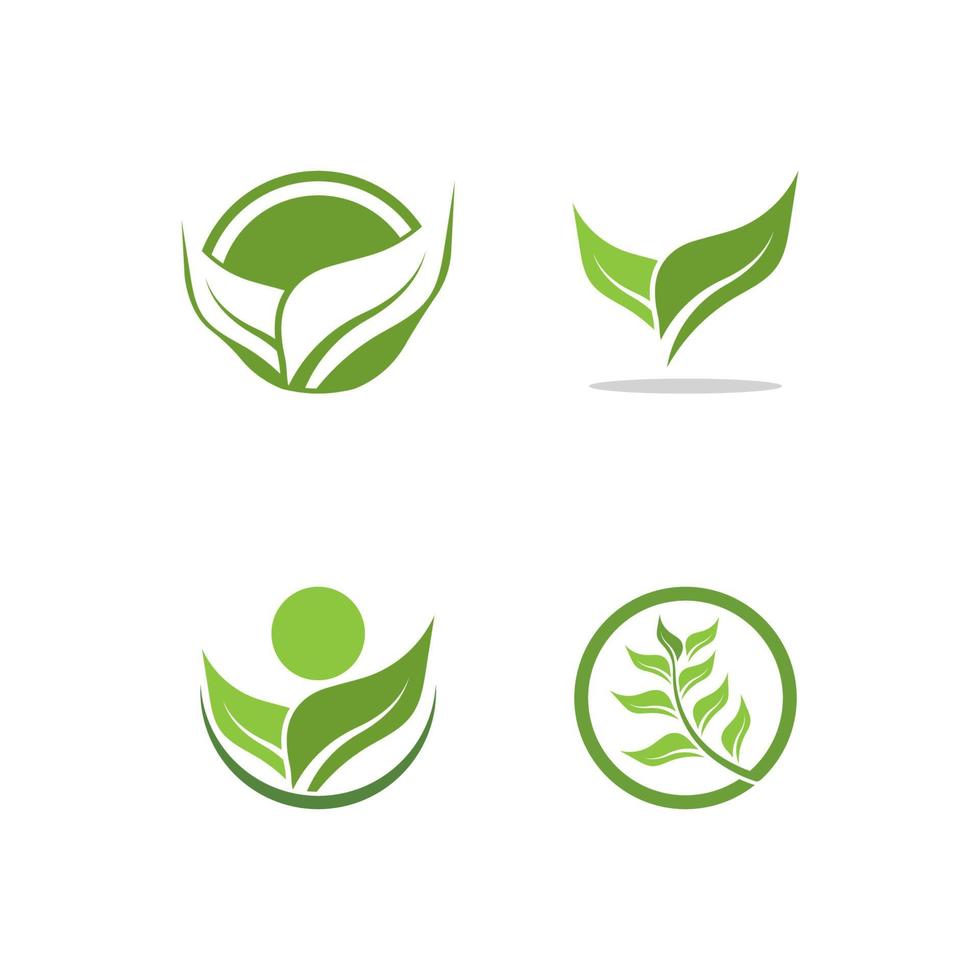 logos de l'écologie des feuilles d'arbre vert vecteur