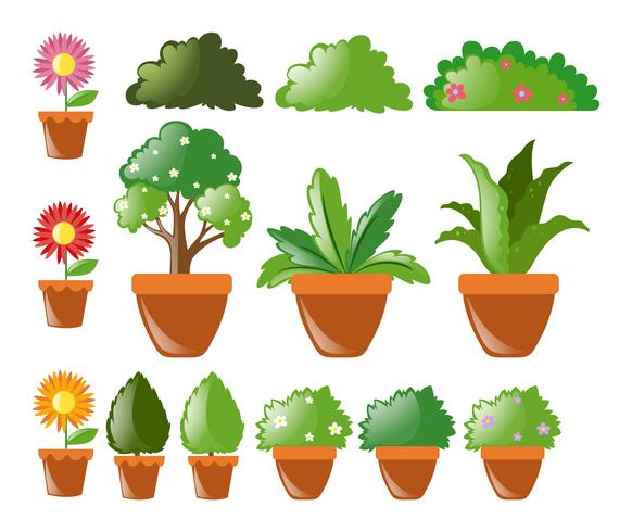 Différents types de plantes en pot vecteur