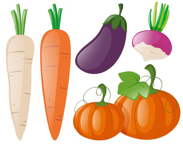 Différents types de légumes frais vecteur