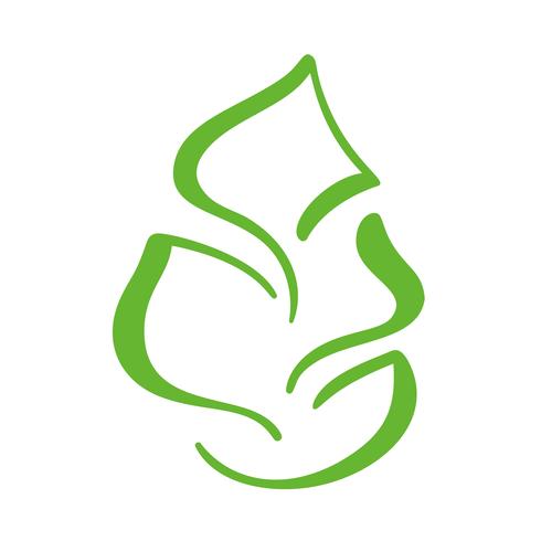 Logo de feuille verte de thé. Icône de vecteur élément nature écologie. Illustration de dessinés à la main de calligraphie bio Vegan bio