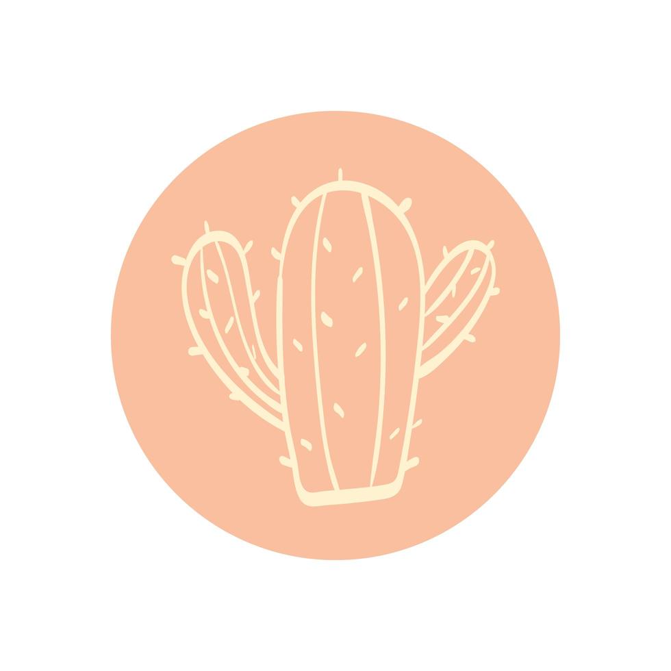 cactus plante exotique vecteur