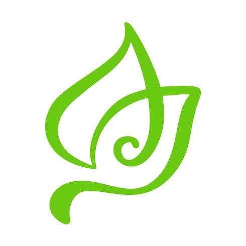 Logo de feuille verte de thé. Écologie nature élément vecteur icône jardin. Illustration de dessinés à la main de calligraphie bio Vegan bio