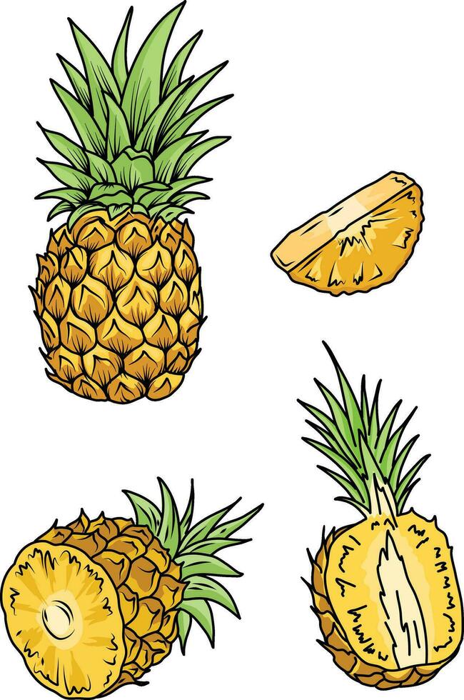 ensemble de ananas fruit. . entier ananas avec feuilles et moitié ananas tranches. main tiré vecteur illustration.