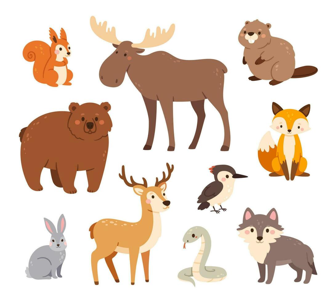 des bois animaux. mignonne forêt ours, Renard et lièvre, Loup et cerf, blaireau et écureuil, wapiti et Pivert, castor et serpent. content marrant animal vecteur personnages