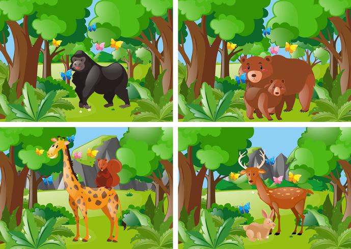 Quatre scènes de forêt avec des animaux sauvages vecteur