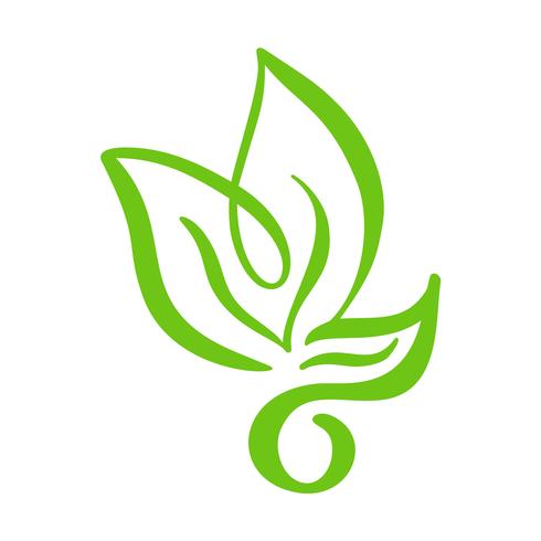 Logo de feuille verte de thé. Écologie nature élément vector icon tree. Illustration de dessinés à la main de calligraphie bio Vegan bio