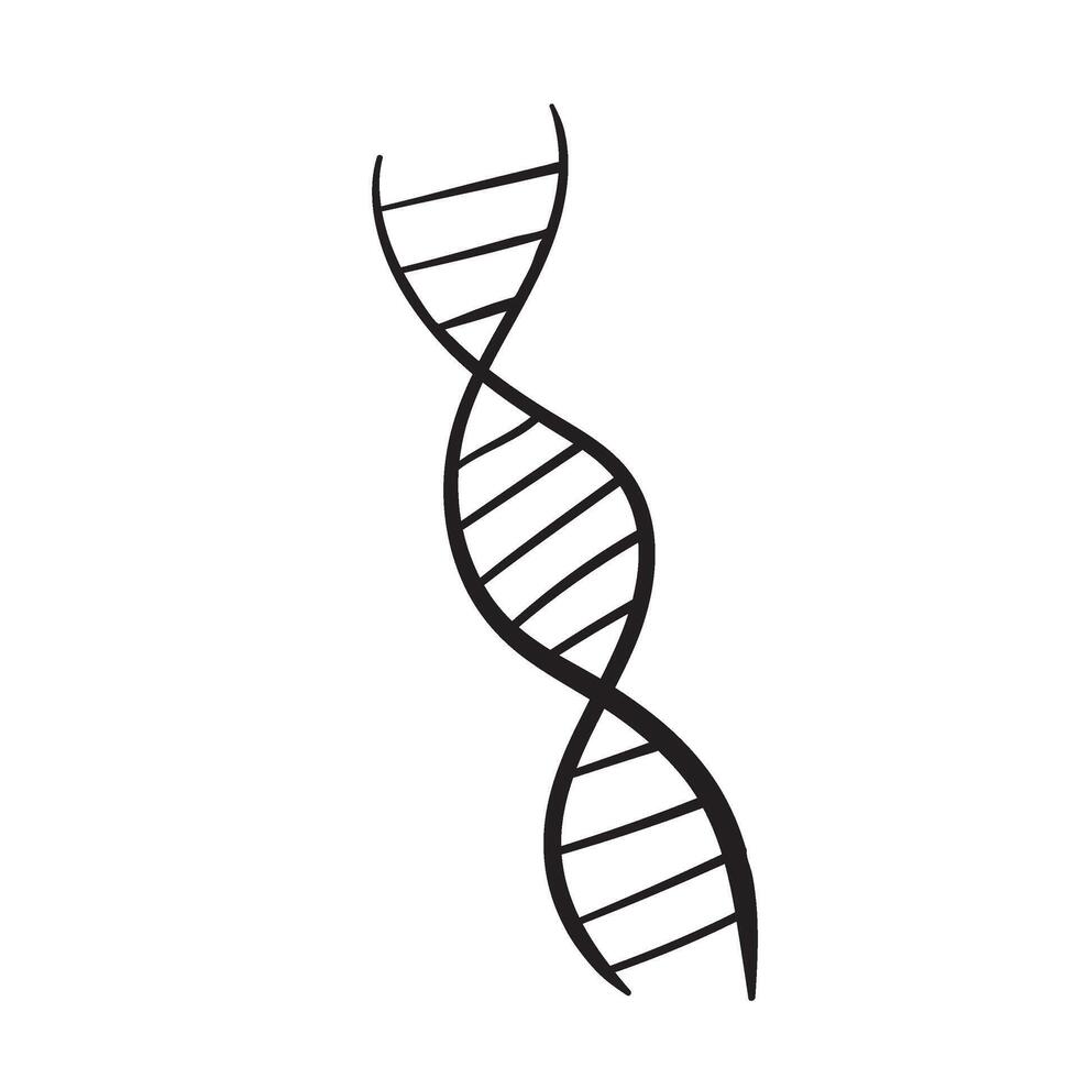 ADN molécule griffonnage vecteur