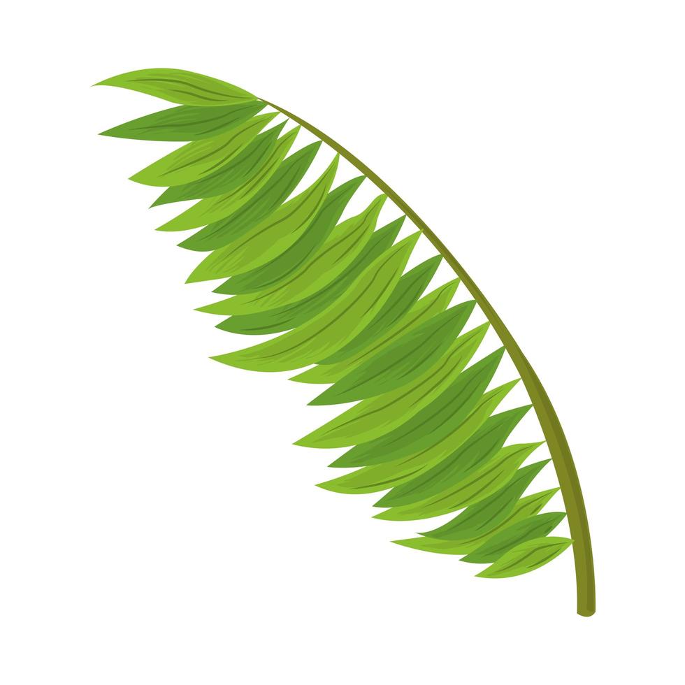 feuilles de palmier vecteur