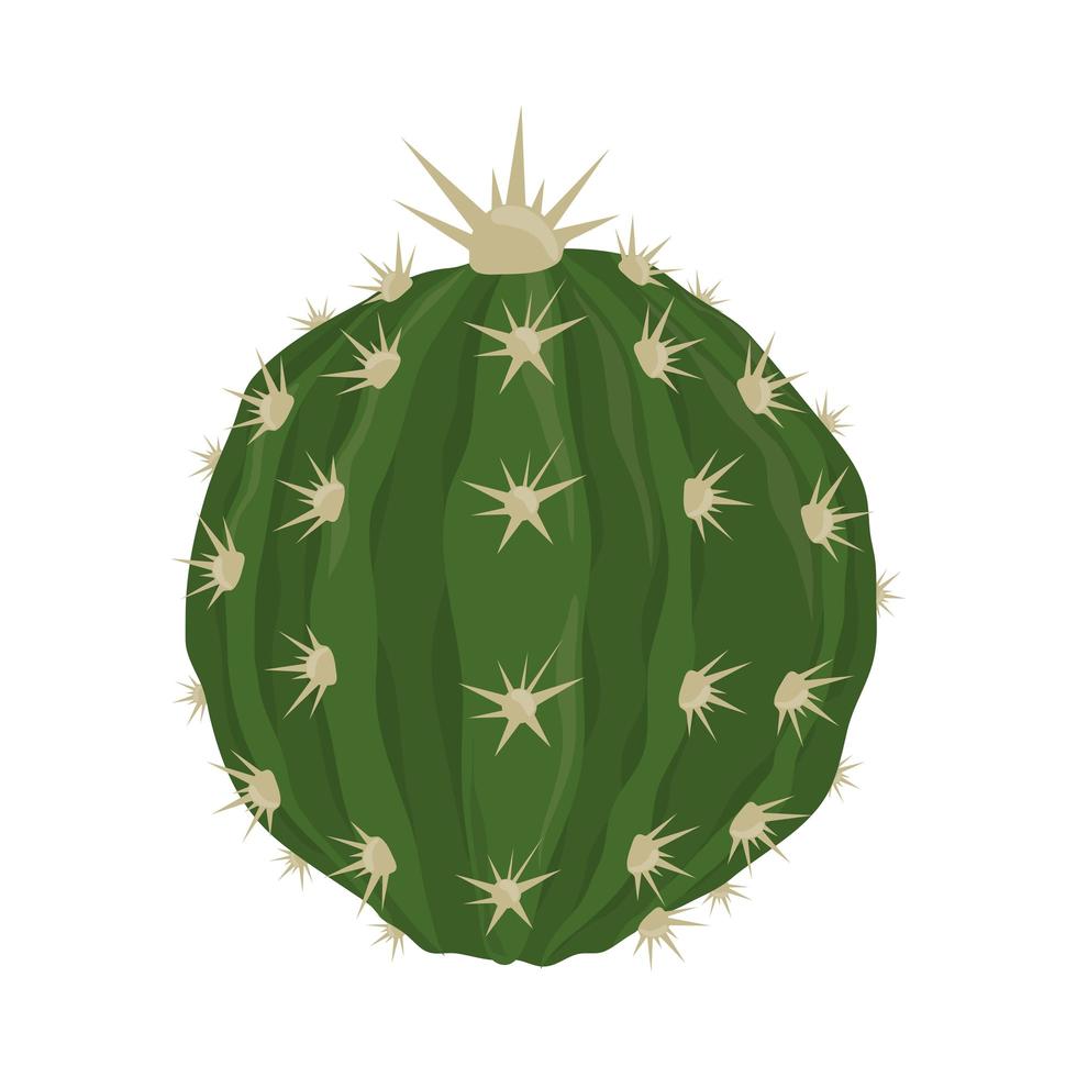 cactus globe nature vecteur