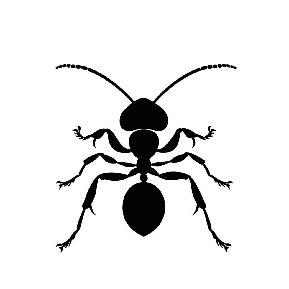 ai généré silhouette fourmi plein corps noir Couleur seulement vecteur