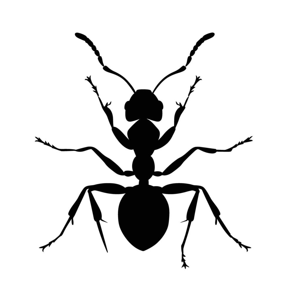 ai généré silhouette fourmi plein corps noir Couleur seulement vecteur