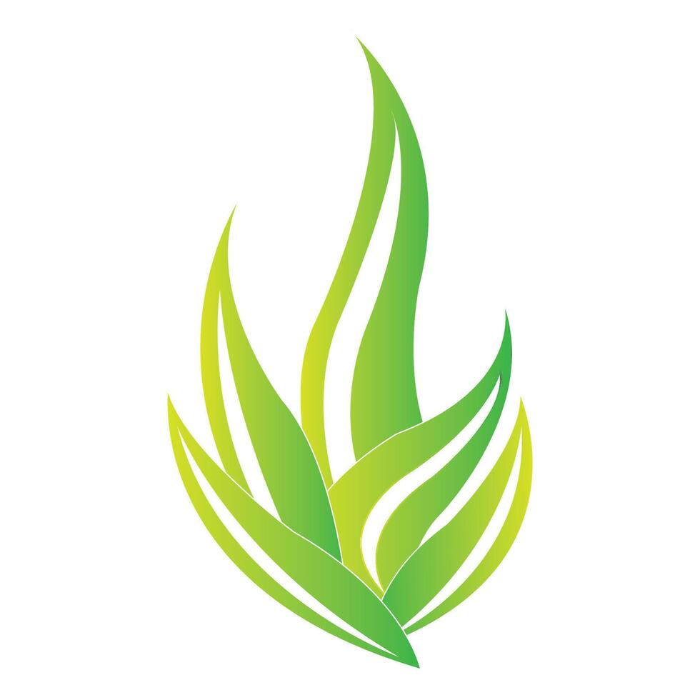 modèle de conception de vecteur de logo d'icône d'aloe vera