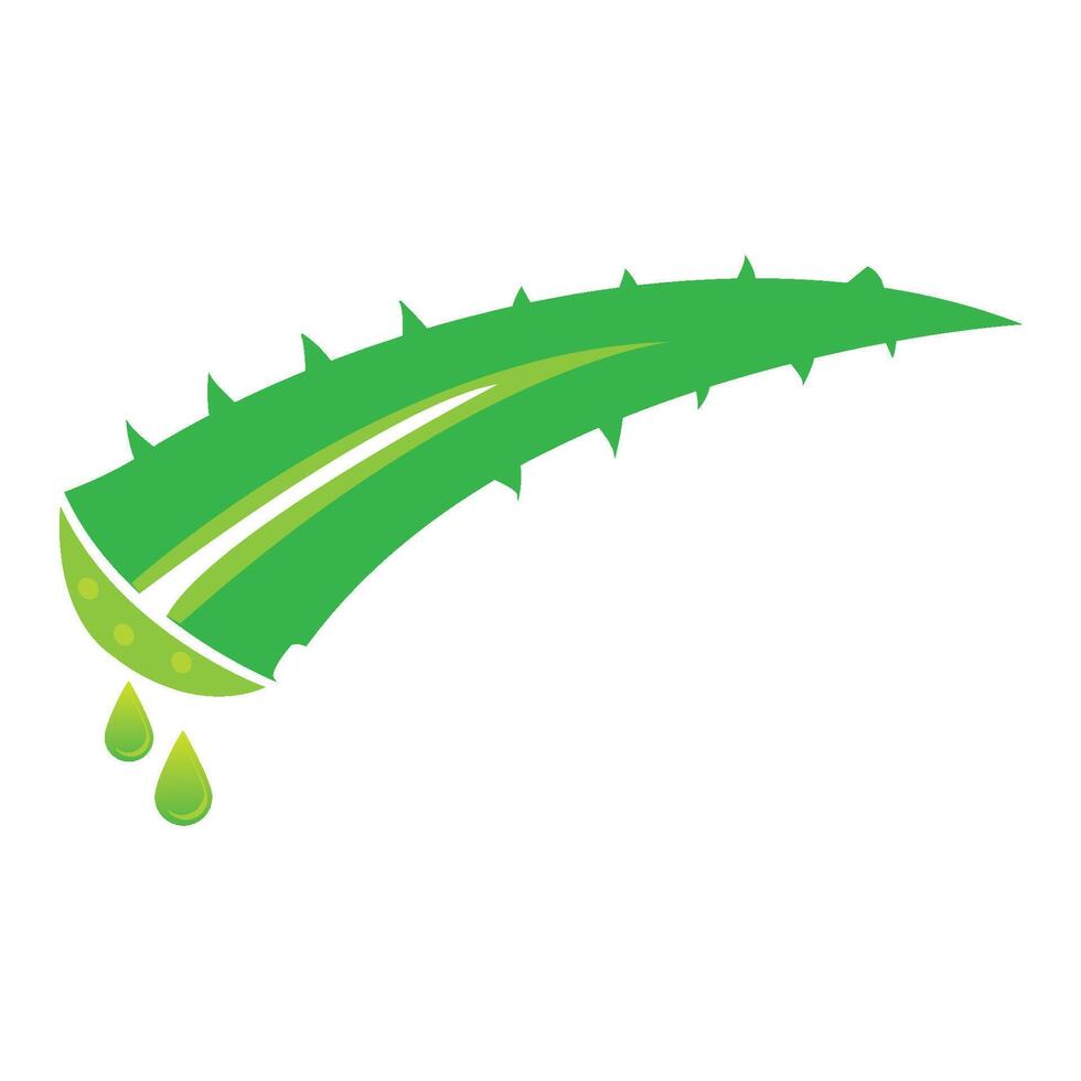 modèle de conception de vecteur de logo d'icône d'aloe vera