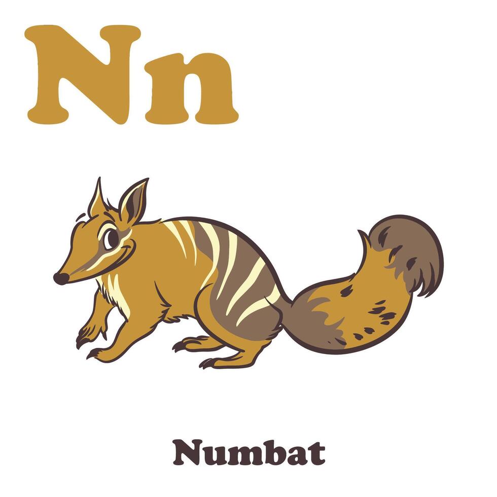 numbat alphabet dessin animé personnage pour des gamins vecteur
