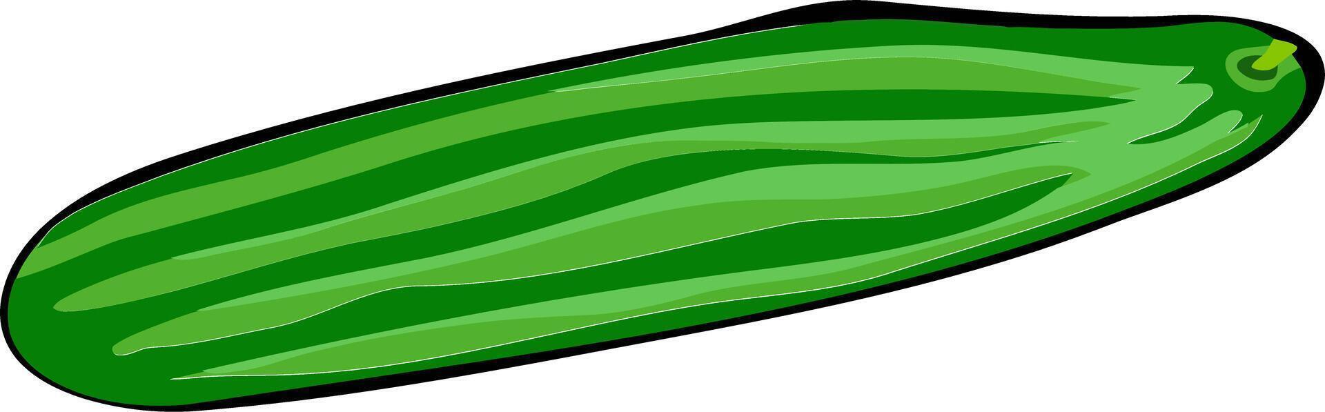 illustration de une concombre isolé sur une blanc Contexte vecteur
