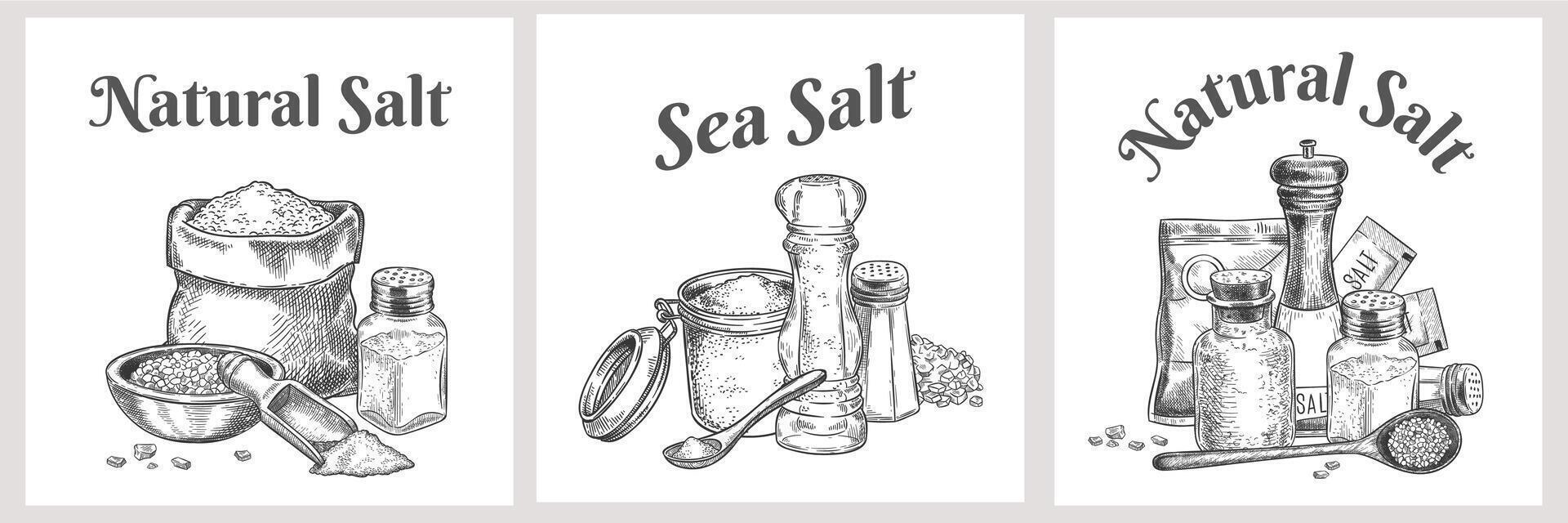 mer sel Étiquettes. Naturel et biologique salaison cristaux pour bain. cuisine affiche avec assaisonnement. ancien pimenter ou sel emballage vecteur conception