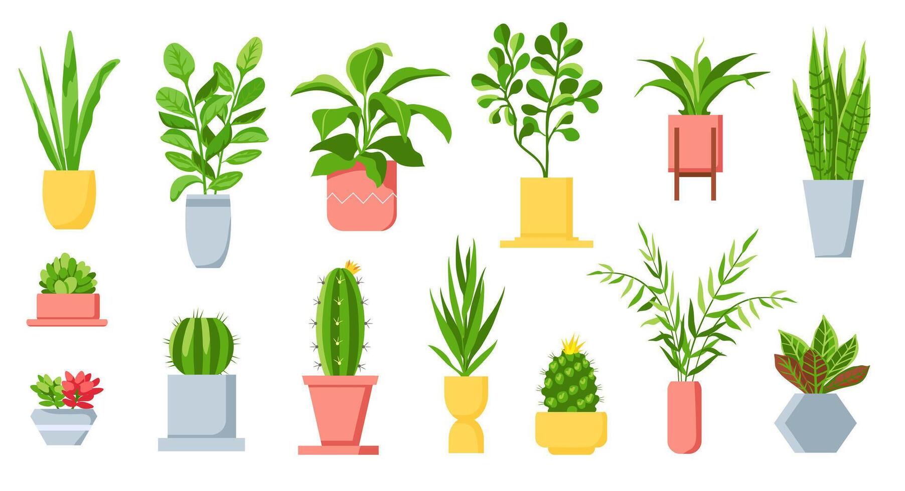 pot les plantes. maison tropical feuilles, arbre, plantes succulentes et cactus. Urbain jungle, Accueil vert jardin dans pots de fleurs. dessin animé plante d'appartement vecteur ensemble