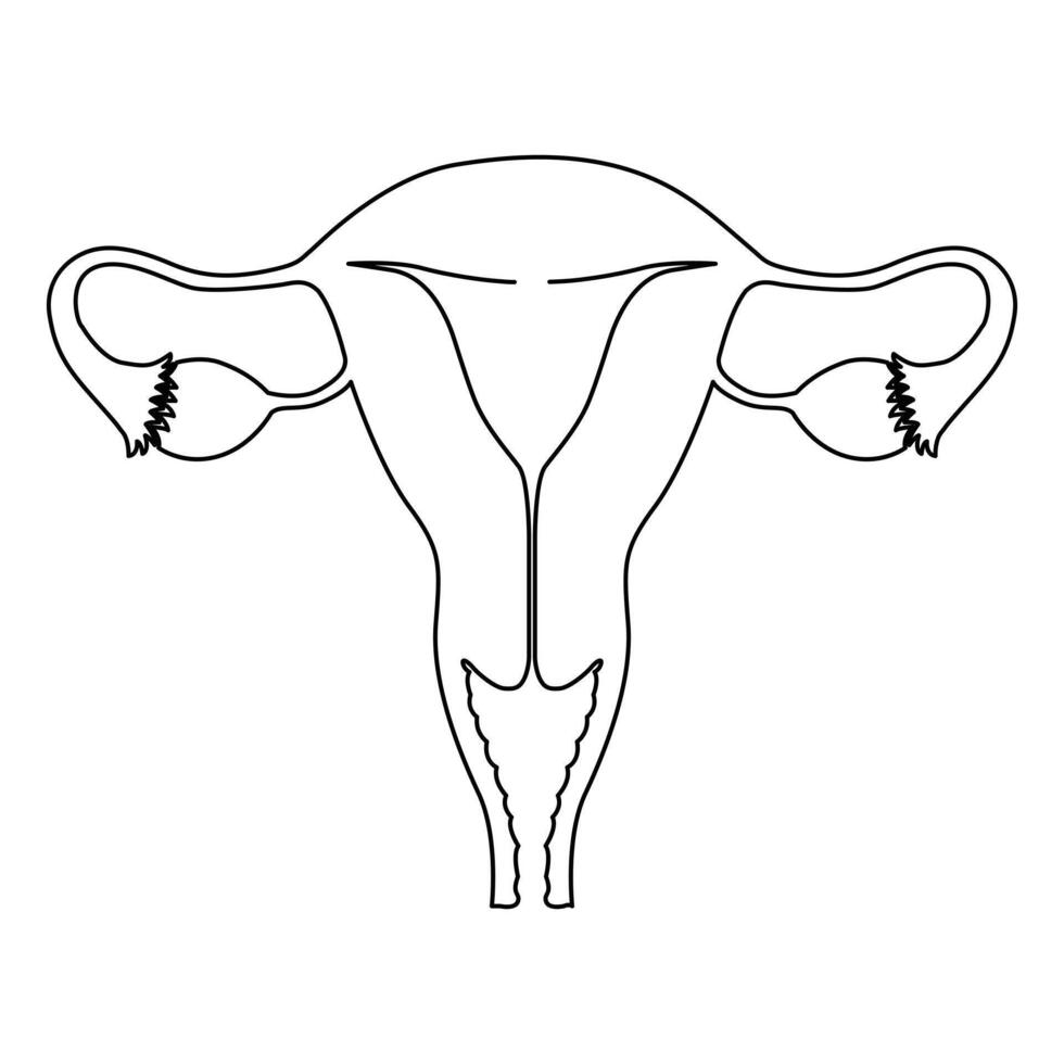 continu Célibataire un ligne dessin utérus et ovaires, organes de femelle reproducteur système et aux femmes journée vecteur art illustration