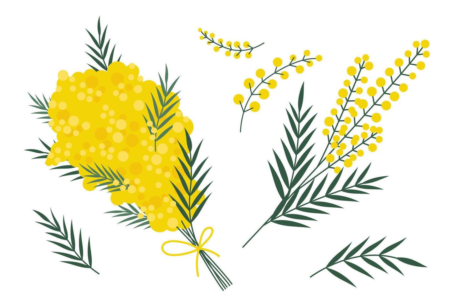 mimosa fleur ensemble, dessin animé style. branché moderne vecteur illustration isolé sur blanc arrière-plan, main dessiné, plat