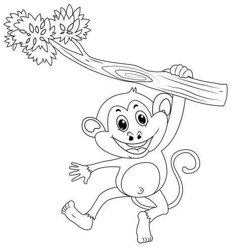 Contour d&#39;animaux pour singe sur une branche vecteur