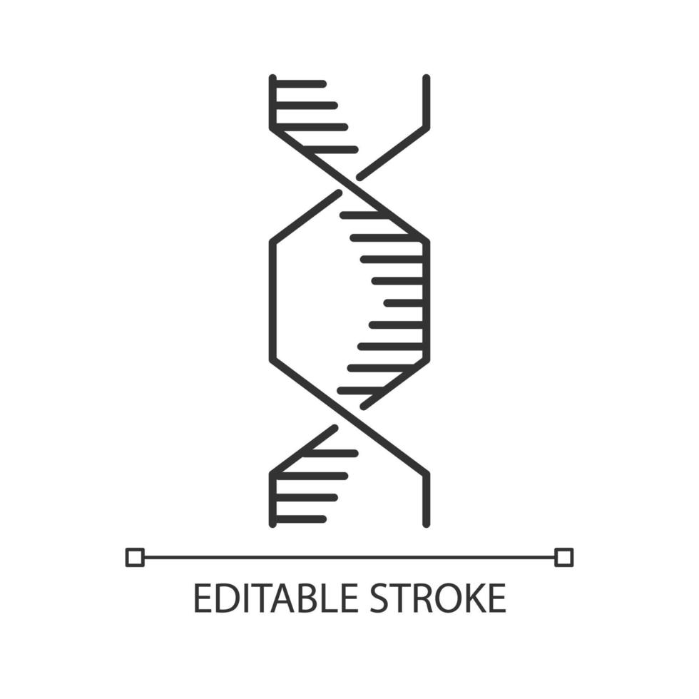 icône linéaire d'hélice d'ADN hexagonale. désoxyribonucléique, structure d'acide nucléique. biologie moléculaire. code génétique. illustration de la ligne mince. symbole de contour. dessin de contour isolé de vecteur. trait modifiable vecteur