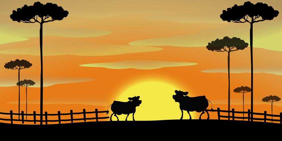 Scène de silhouette avec des vaches à la ferme vecteur