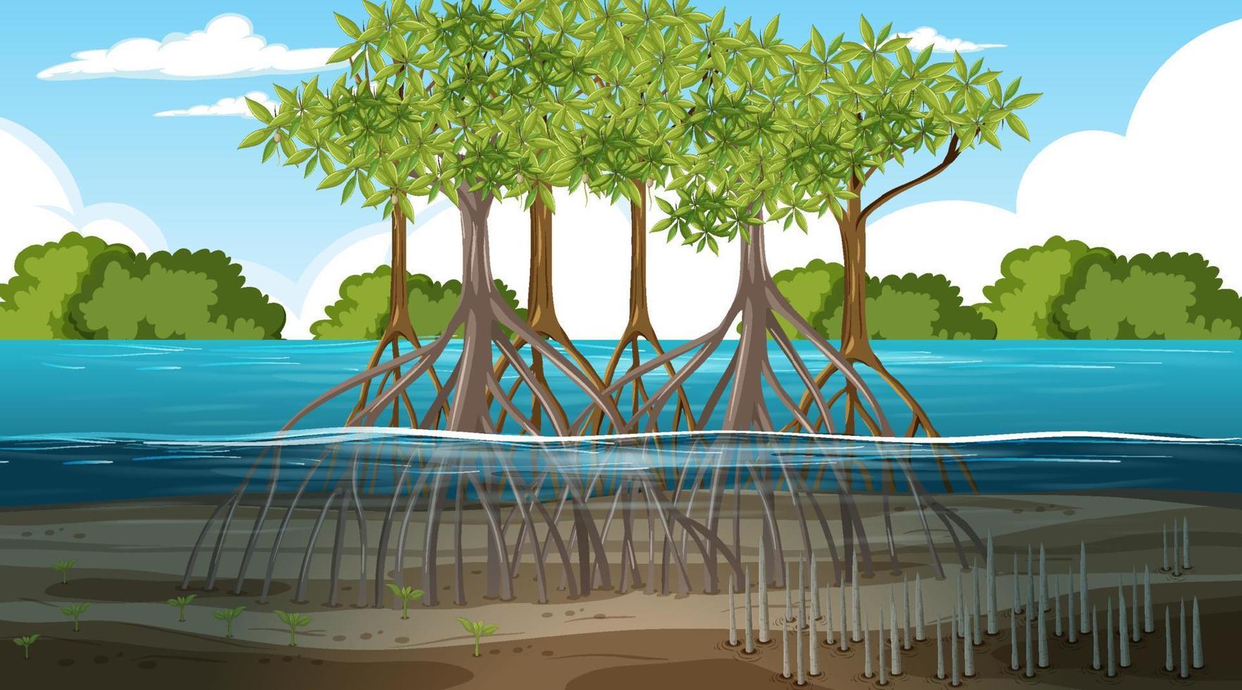 Scène de paysage de forêt de mangrove pendant la journée vecteur