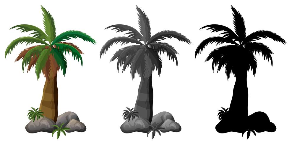 Ensemble de conception de palmier vecteur