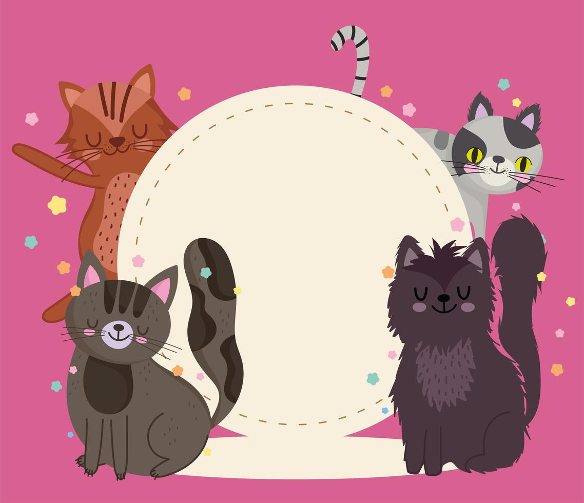 animaux de compagnie chat animaux dessin animé félin avec modèle d'étiquette vecteur