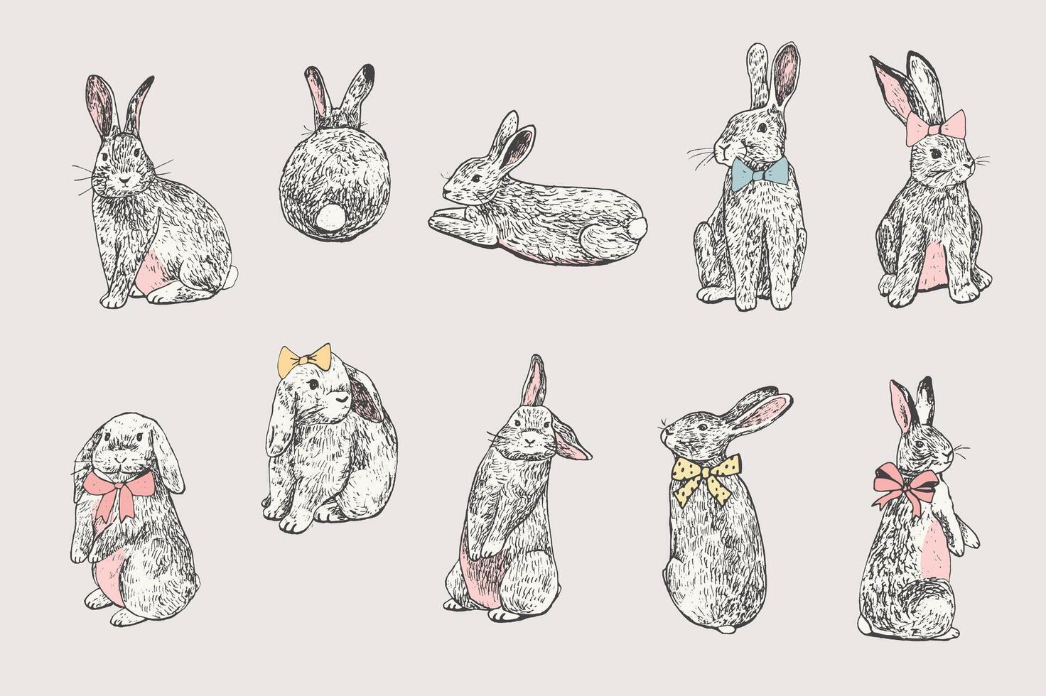 Pâques lapin vecteur des illustrations ensemble.