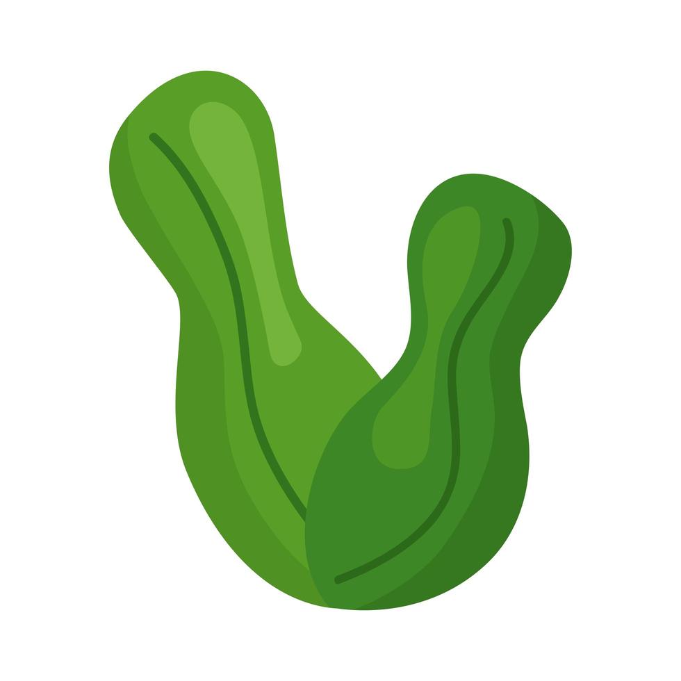 icône de feuilles de plantes vecteur
