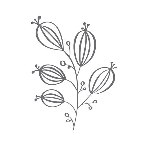 Éléments de branche décorative de Noël conçoivent des feuilles florales dans un style scandinave. Illustration de handdraw de vecteur pour carte de voeux de Noël