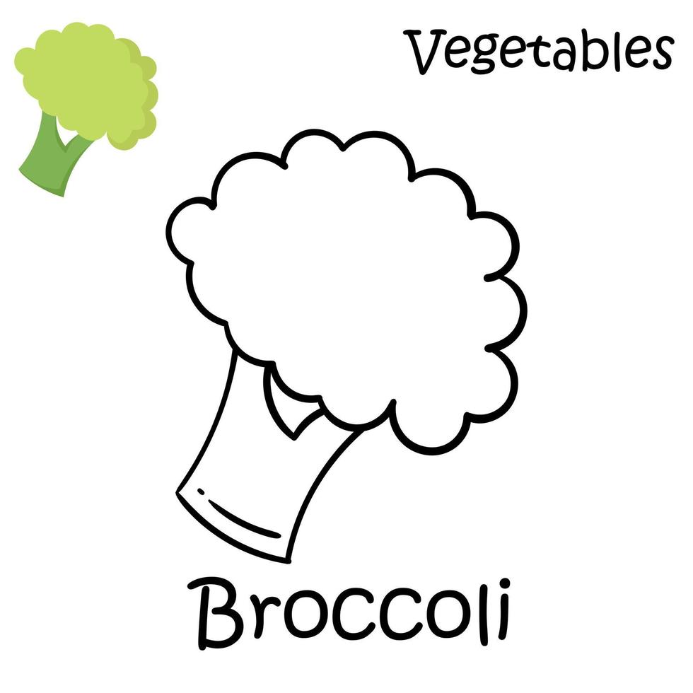 brocoli dessiné à la main sur fond blanc vecteur