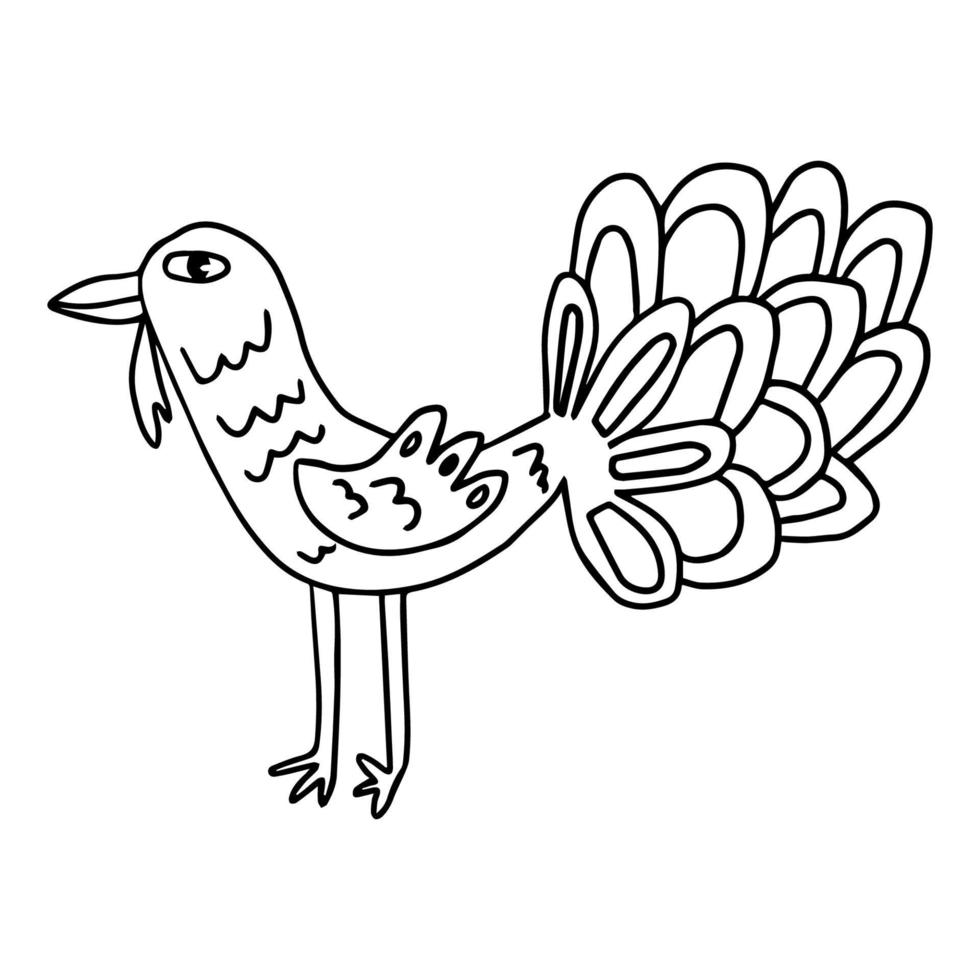 coq de dessin animé, dinde. oiseau dans un style doodle isolé sur fond blanc. animaux de ferme. vecteur