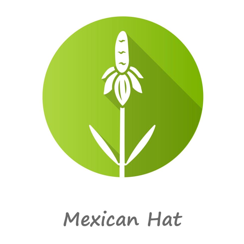 chapeau mexicain fleur sauvage vert design plat grandissime icône de glyphe. échinacée des prairies dressée avec nom. plante ratibida columnifera. fleurs sauvages en fleurs. fleur de printemps. illustration vectorielle vecteur